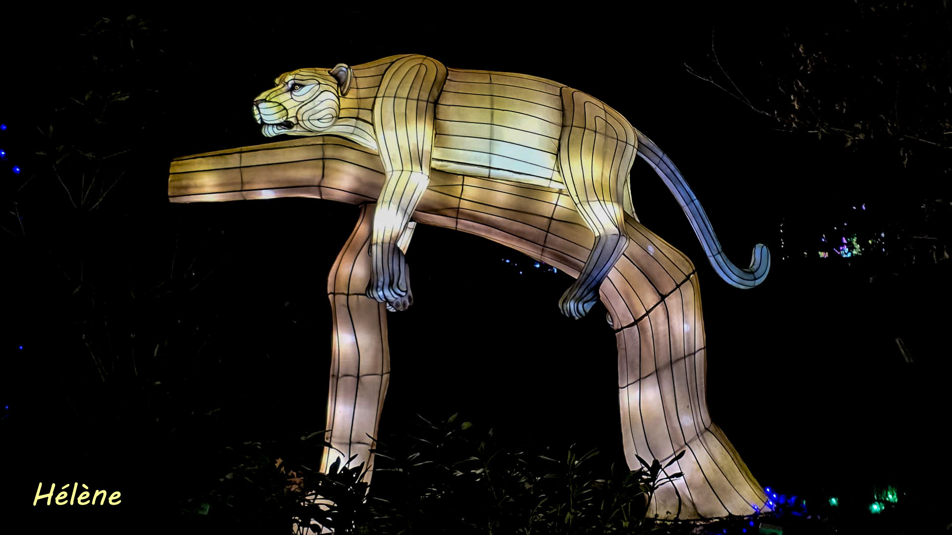 THOIRY -Illumination ,  Lumières sauvages 2025-2026